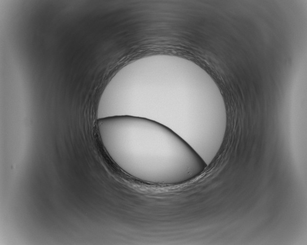 X0000116630040200912111009