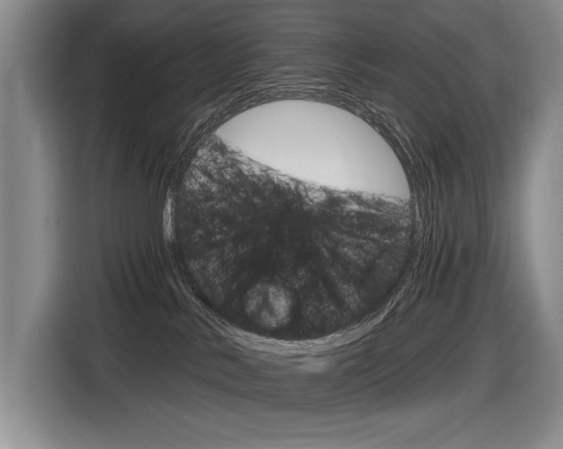 X0000116630042200912111009