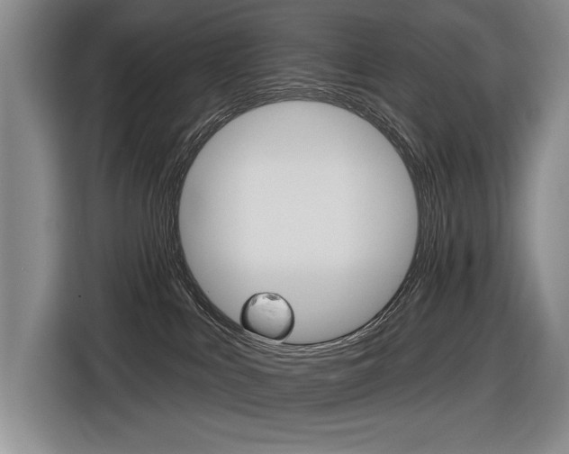 X0000116630043200912111009