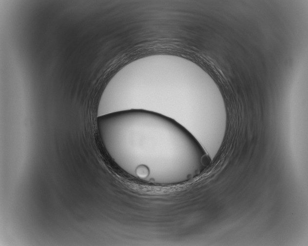 X0000116630044200912111009