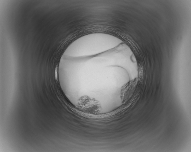 X0000116630046200912111009