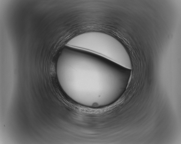 X0000116630048200912111009