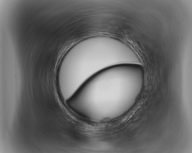 X0000116630049200912111009