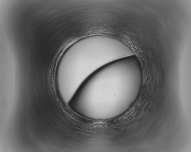 X0000116630050200912111009