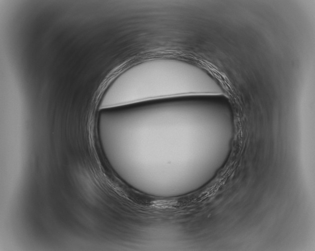 X0000116630051200912111009