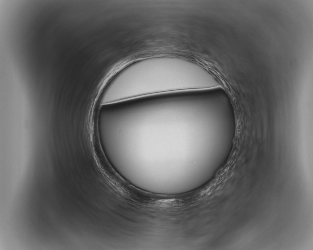 X0000116630054200912111009
