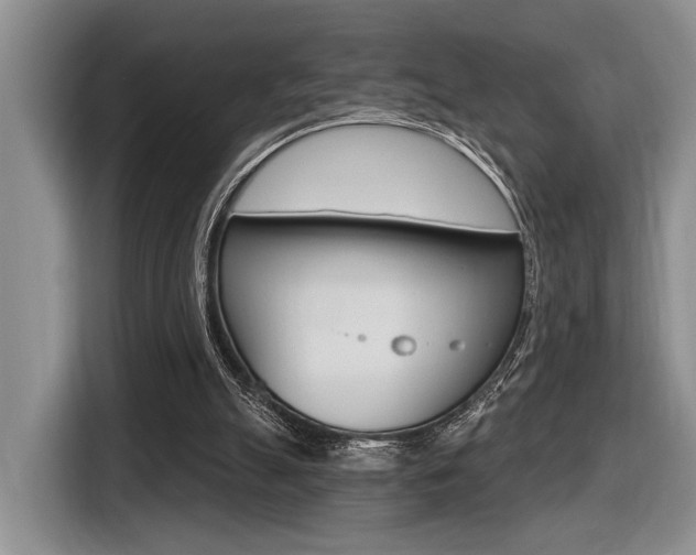 X0000116630055200912111009