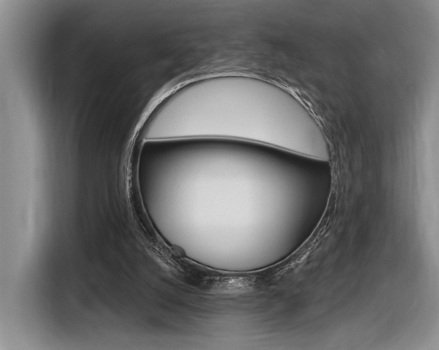 X0000116630056200912111009