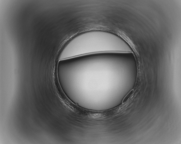 X0000116630058200912111009