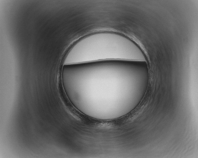 X0000116630063200912111009