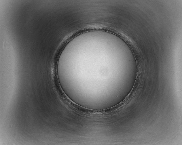 X0000116630064200912111009