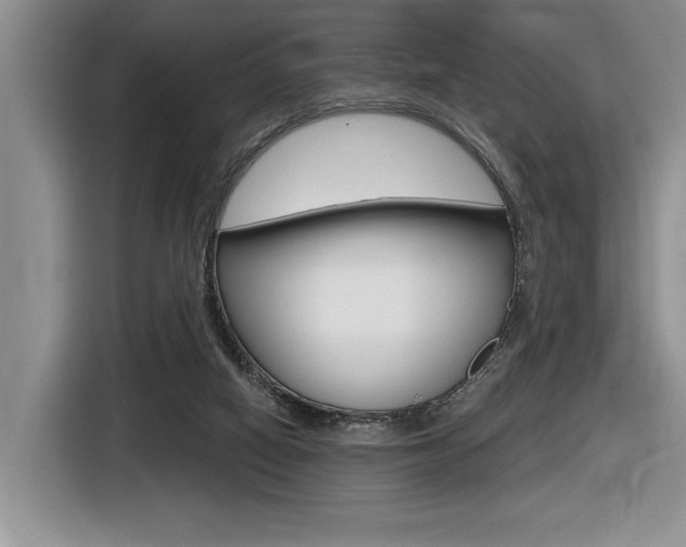 X0000116630066200912111009
