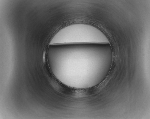 X0000116630070200912111009