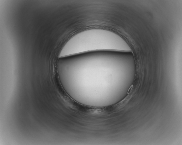X0000116630074200912111009