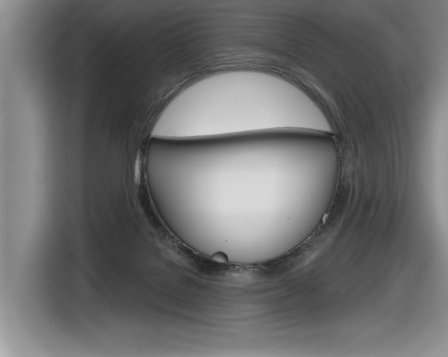 X0000116630076200912111009