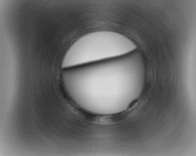 X0000116630078200912111009