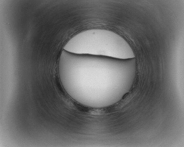 X0000116630079200912111009