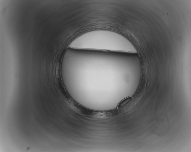 X0000116630083200912111009