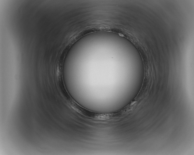 X0000116630084200912111009