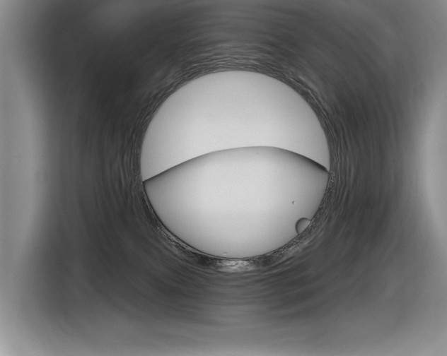 X0000116630087200912111009