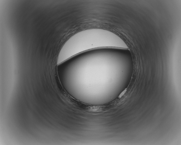 X0000116630088200912111009