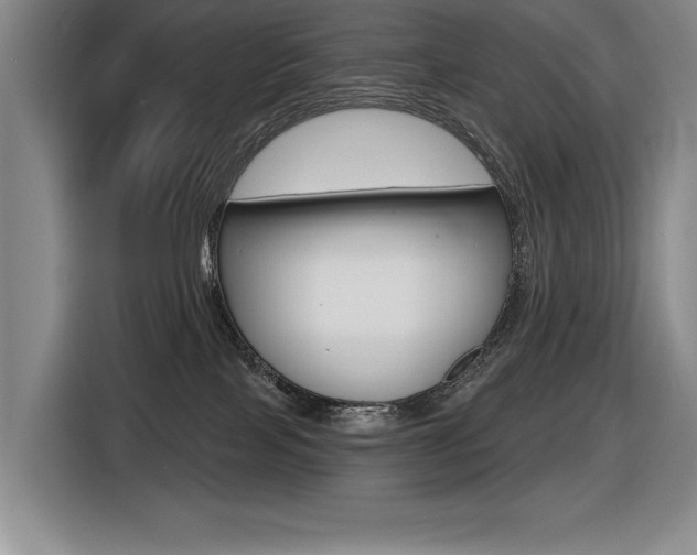 X0000116630089200912111009