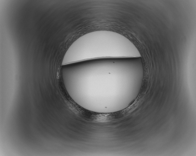 X0000116630090200912111009