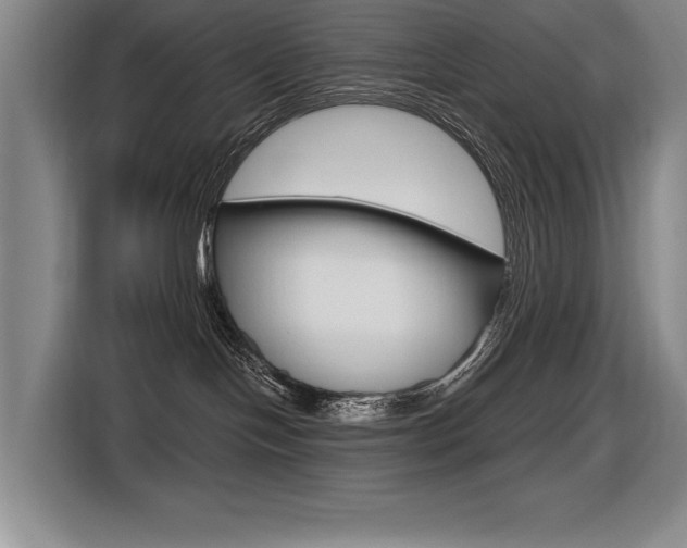X0000116630094200912111009