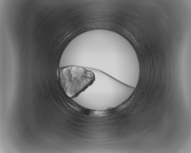 X0000116630095200912111009