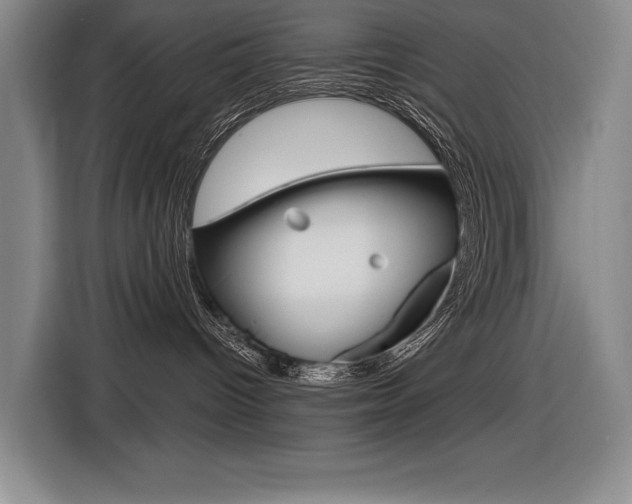 X0000116630096200912111009