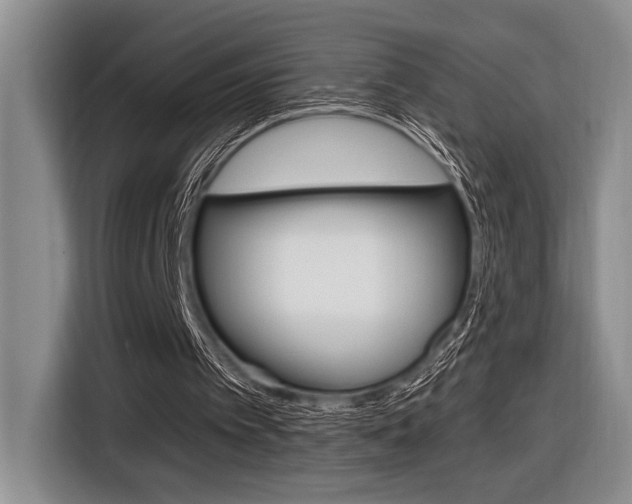 X0000116630097200912111009