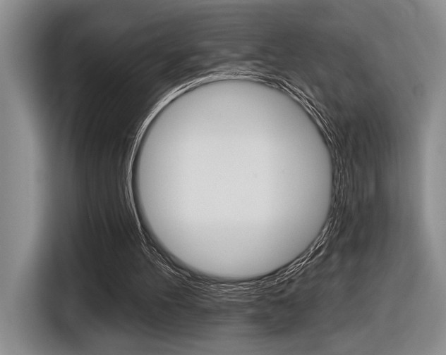 X0000116630100200912111009