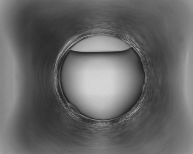 X0000116630101200912111009