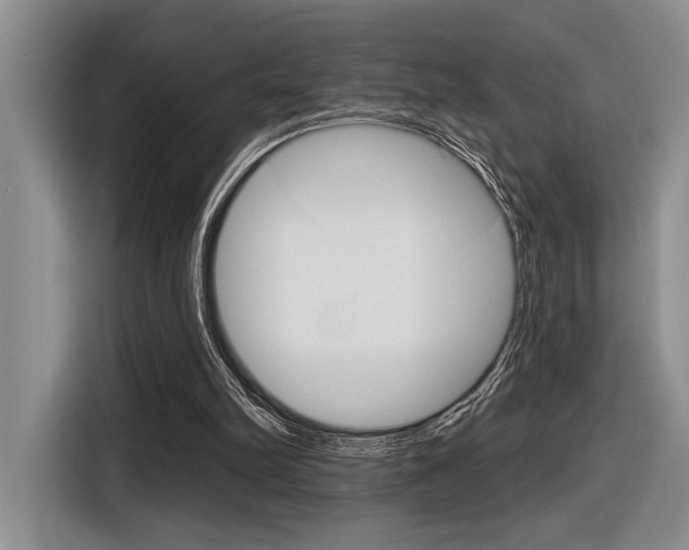 X0000116630102200912111009
