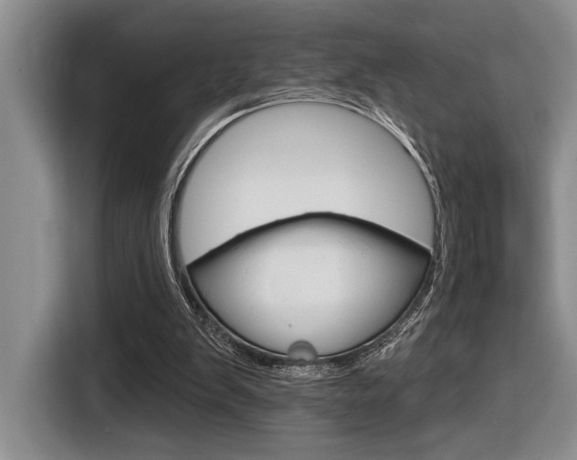 X0000116630103200912111009