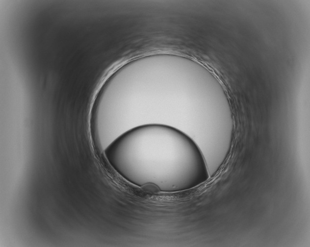 X0000116630104200912111009