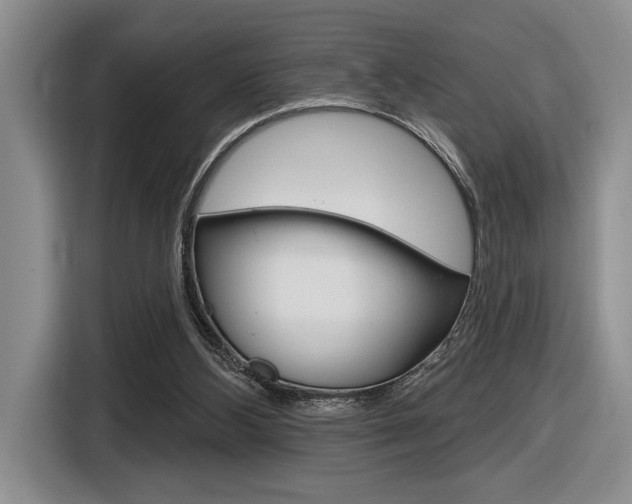 X0000116630108200912111009