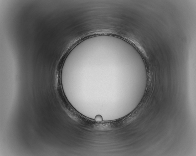X0000116630110200912111009