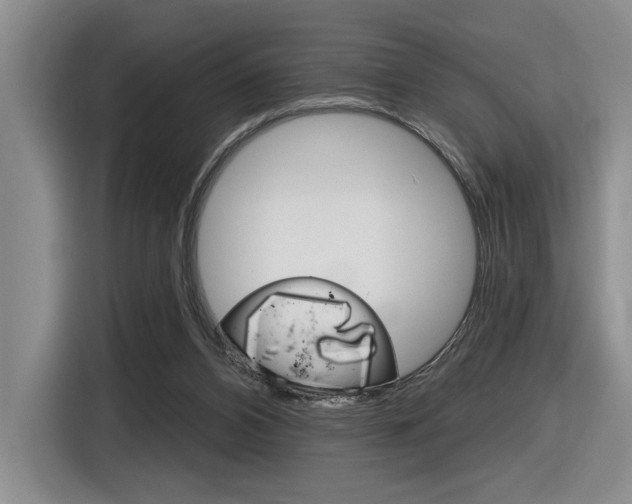 X0000116630112200912111009