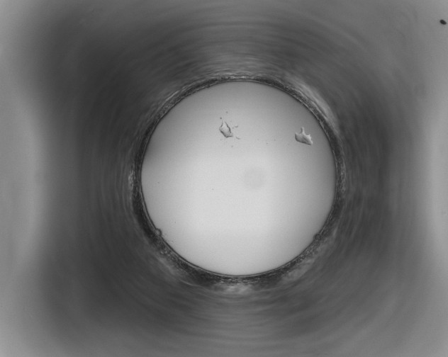 X0000116630113200912111009