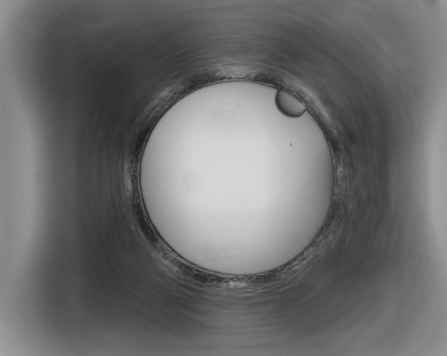 X0000116630114200912111008