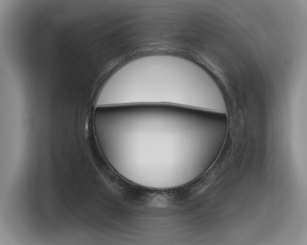 X0000116630115200912111008