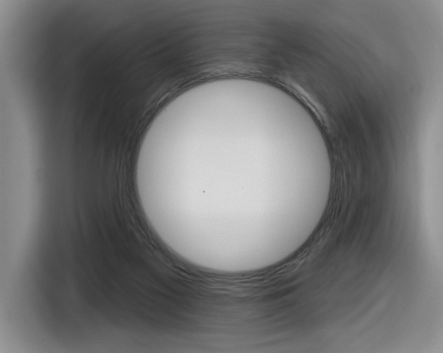 X0000116630117200912111008