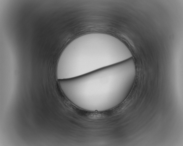 X0000116630123200912111008