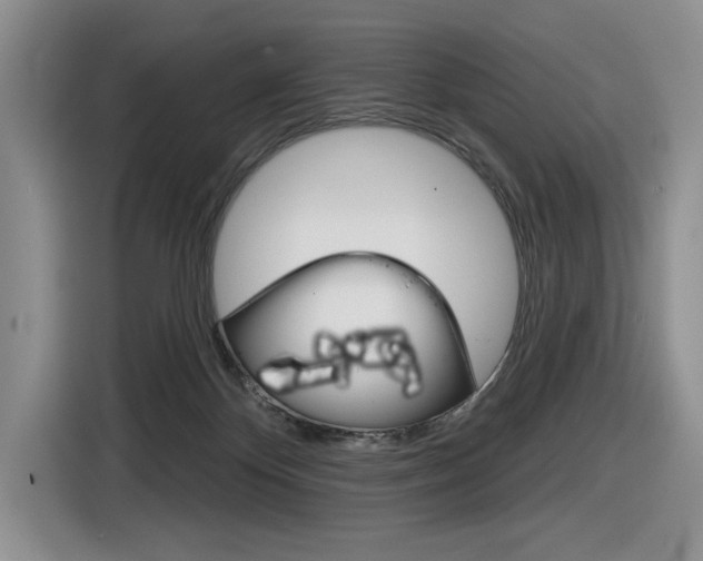 X0000116630124200912111008