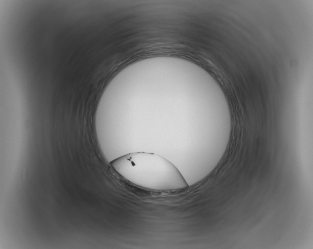 X0000116630125200912111008