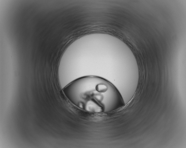 X0000116630128200912111008