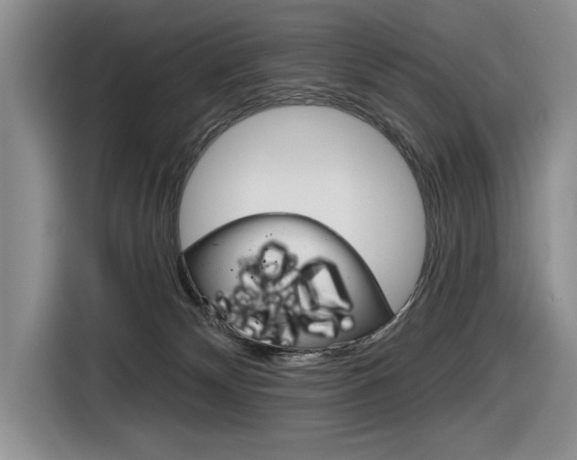 X0000116630132200912111008
