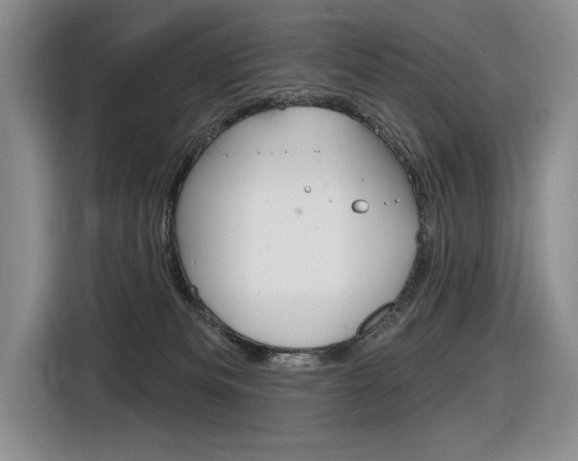 X0000116630133200912111008