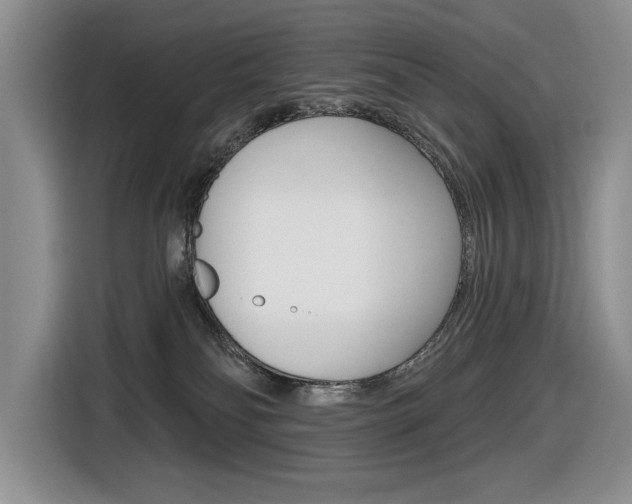 X0000116630134200912111008